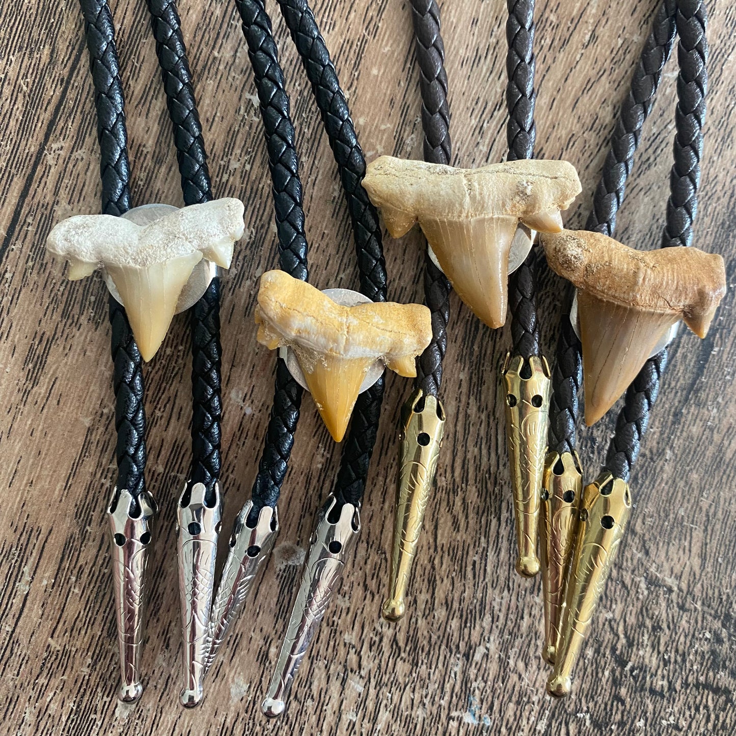 Shark Tooth Brolo