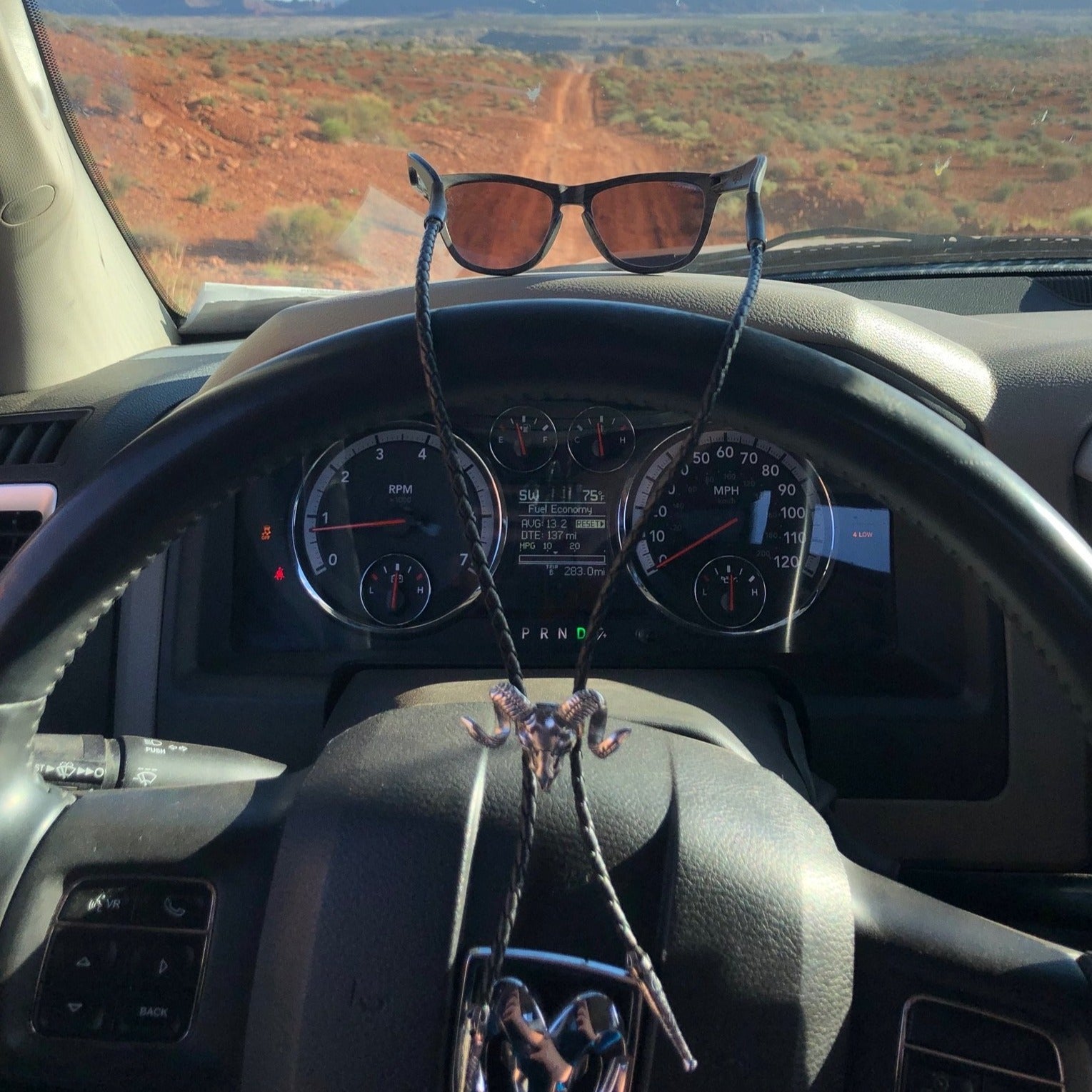Burt Brolos Ram Brolo Reversible Glasses Cord | Burt Brolos