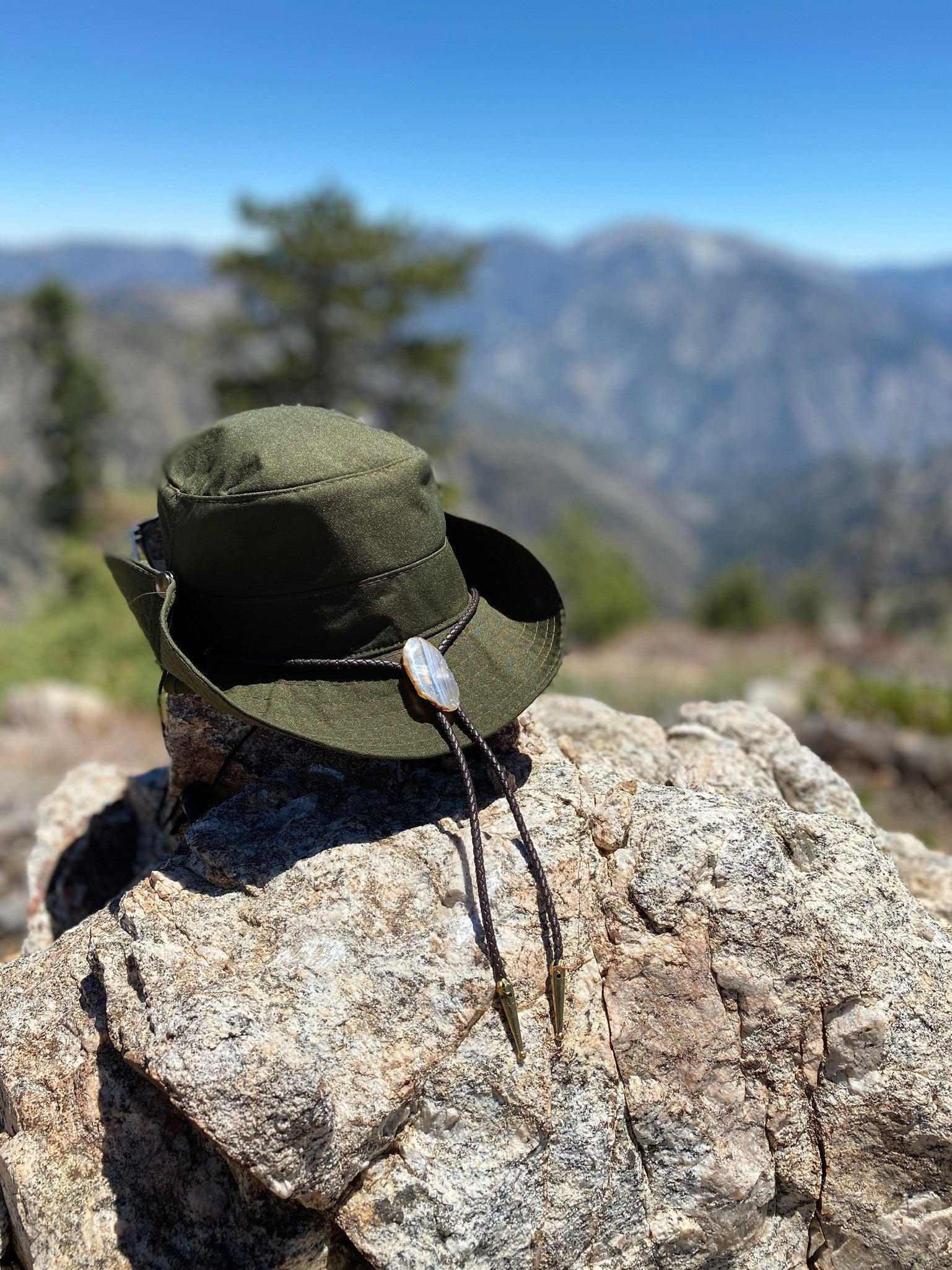 thumbnail_IMG_1164.jpg__PID:529f4de8-e7b8-4b4d-afd7-e075a724800a